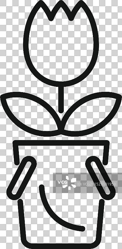 美丽的郁金香在简约花盆中生长图片素材