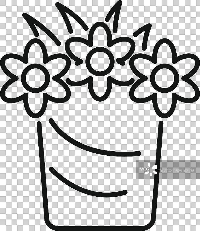 三朵花在条纹花盆中生长图片素材