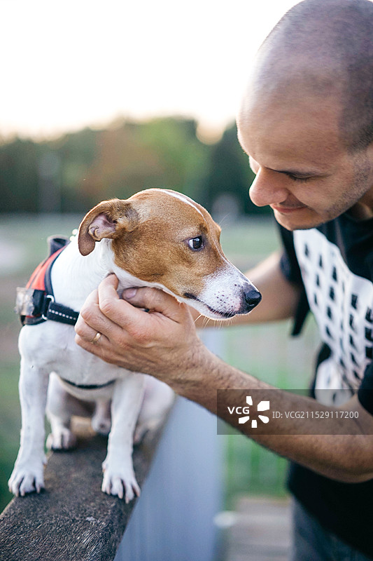 男人在和他的狗玩耍图片素材