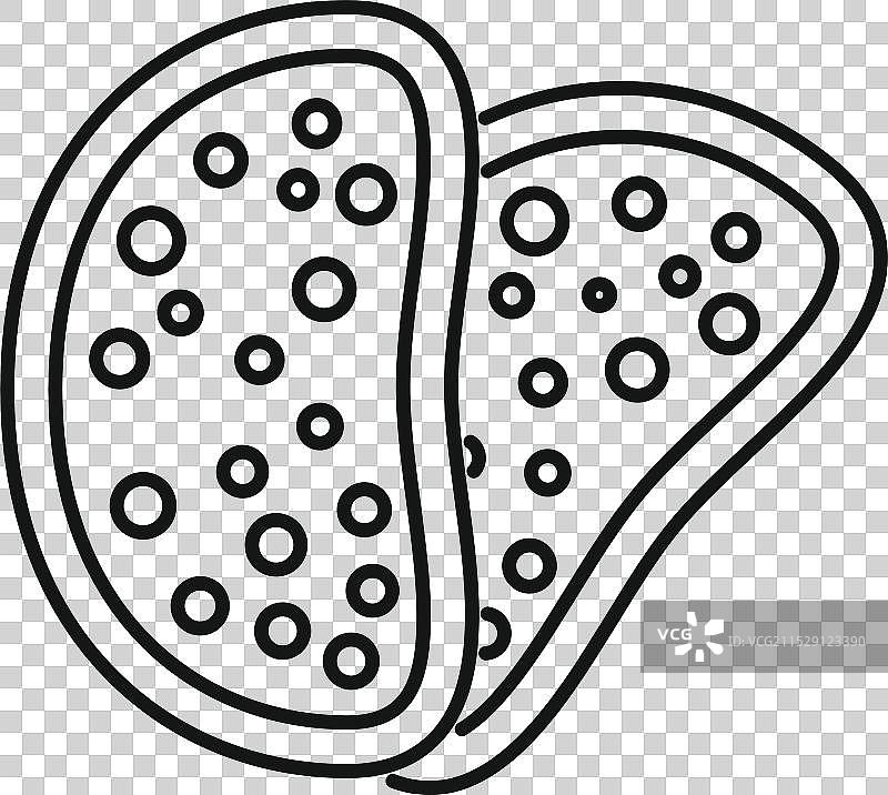 切开的芝麻面包，展示其内部结构图片素材