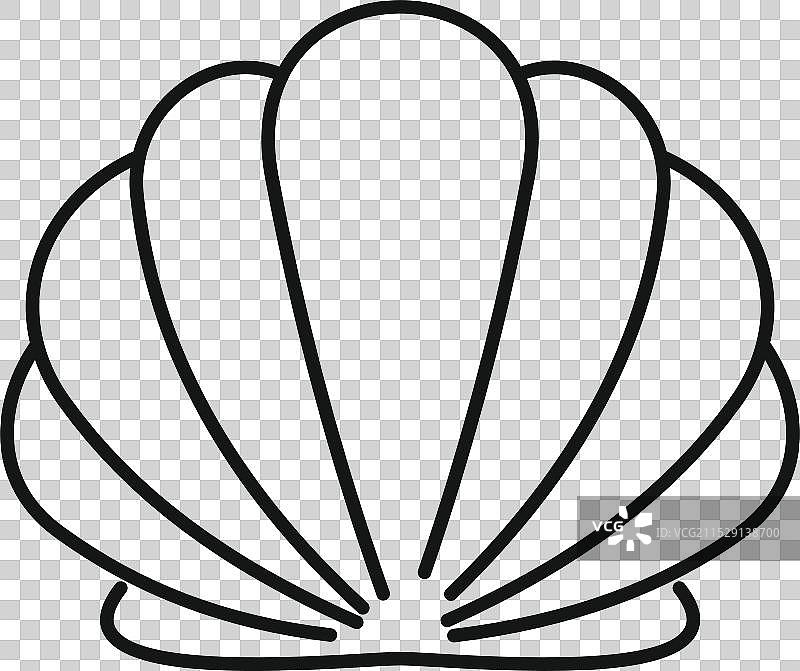 贝壳扇贝极简线条艺术描绘图片素材