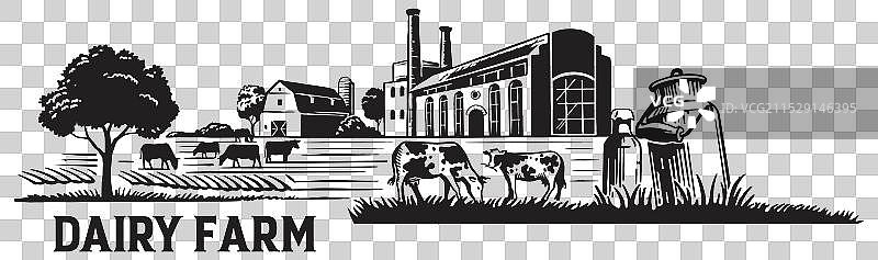 牛的饲养管理图片素材