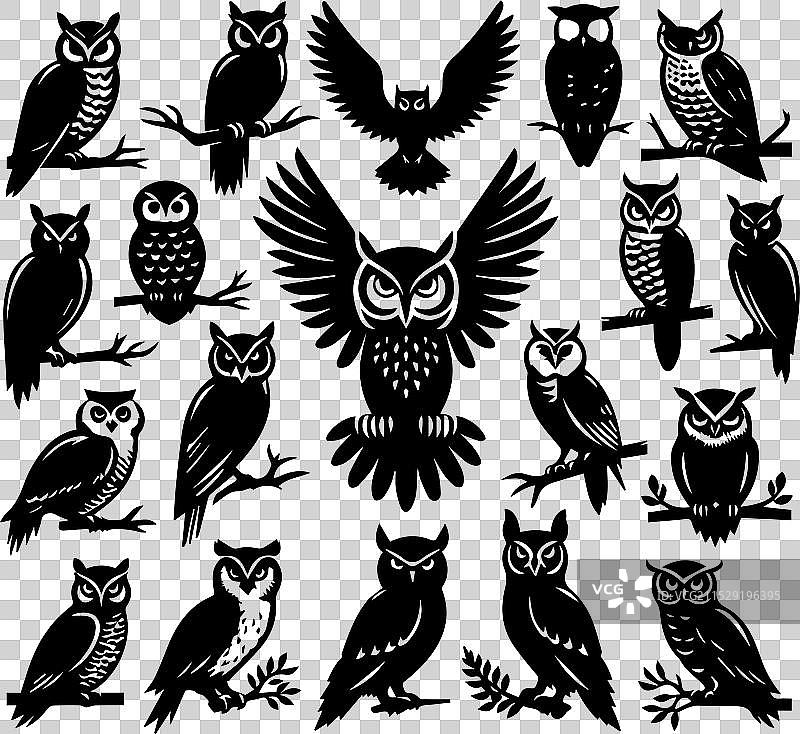 黑色猫头鹰剪影图片素材