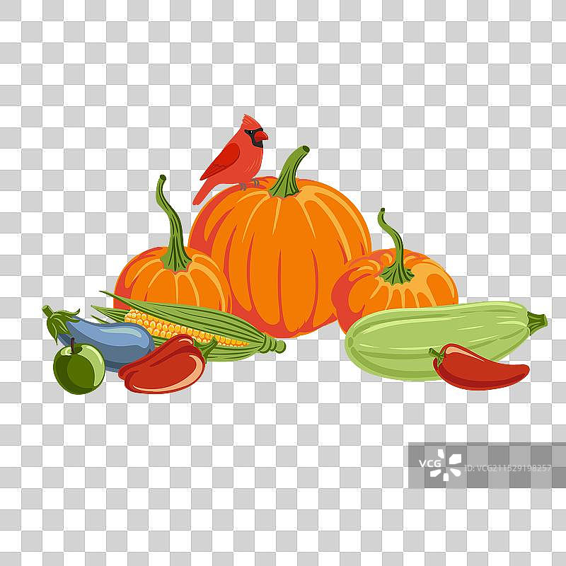 绘制蔬菜和红雀鸟图片素材