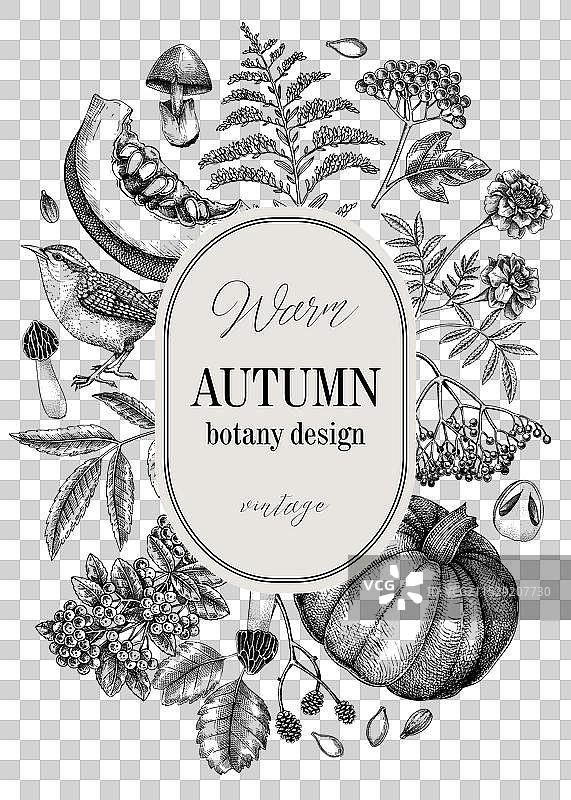 复古秋季贺卡设计 感恩节图片素材