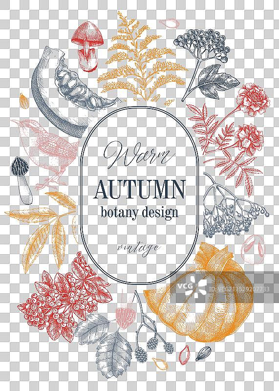 复古秋季卡片设计 感恩节图片素材