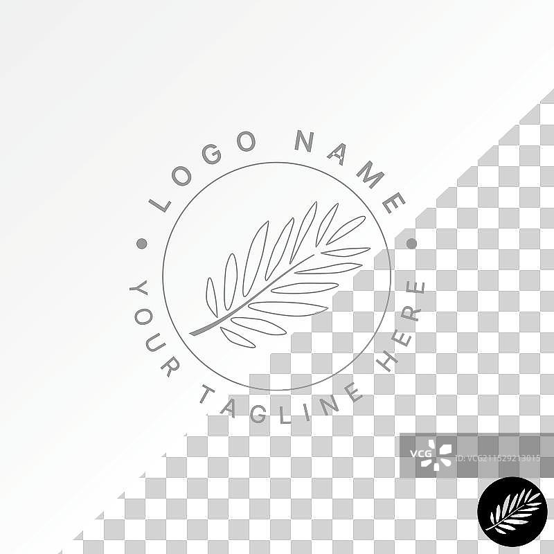 独特的线条叶子植物学森林丛林图案图片素材