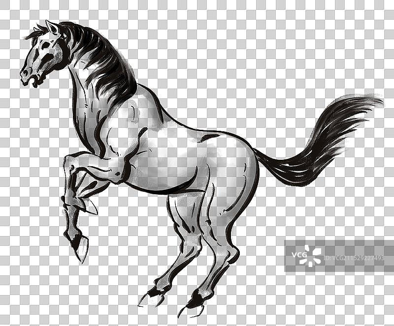 一匹马动物主题黑白国风水墨风格插画元素图片素材
