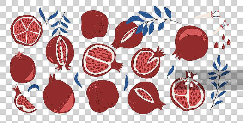 石榴的全果、半果和破裂果实的集合图片素材