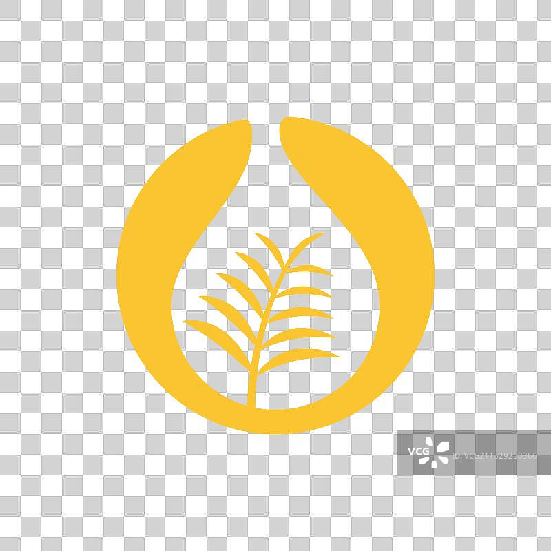 棕榈油树设计模板图片素材