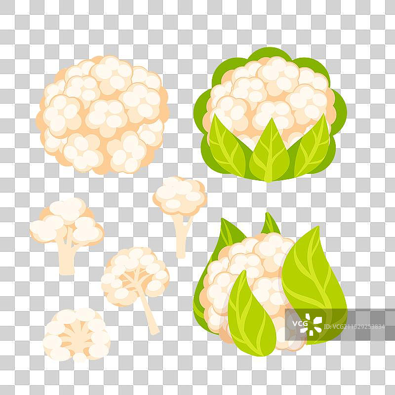 生机勃勃的花椰菜收获图片素材