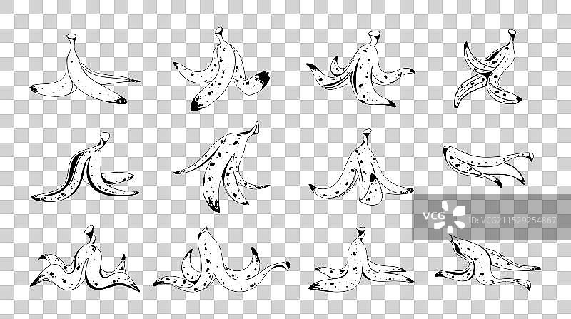各种香蕉皮的黑白素描图片素材
