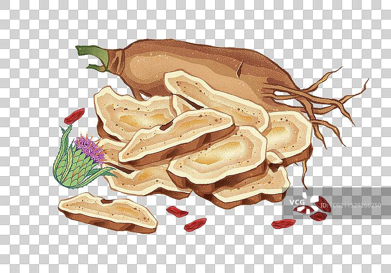 中国传统文化中医养生中草药药材之白术图片素材