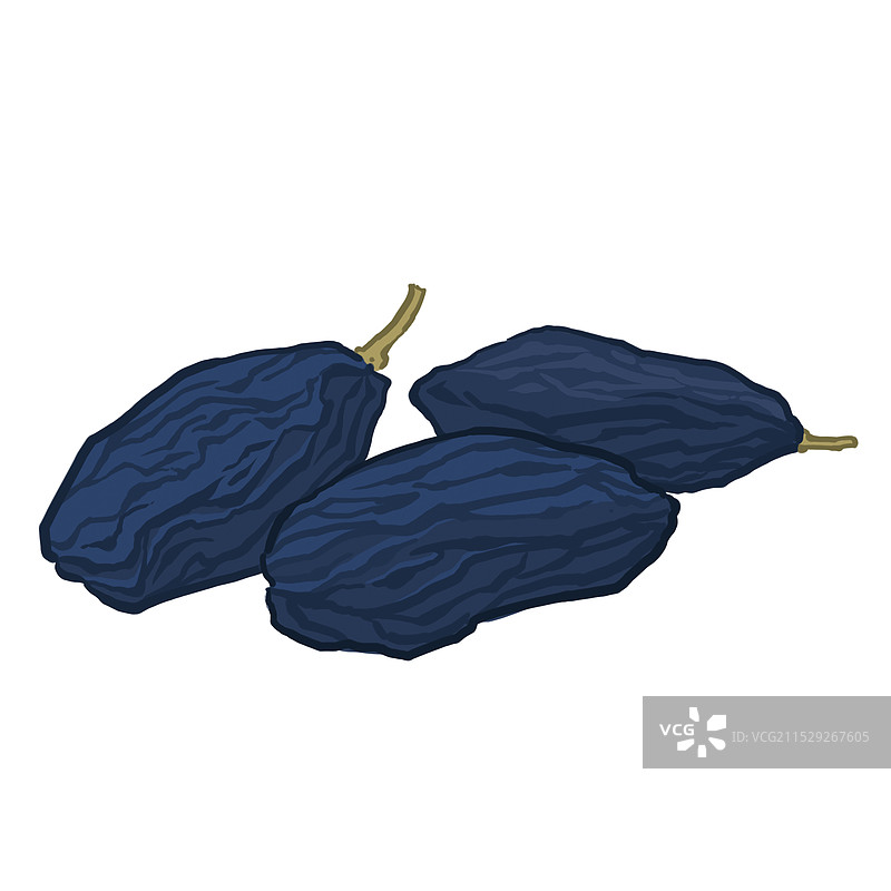 黑加仑葡萄干分层免抠插画图片素材