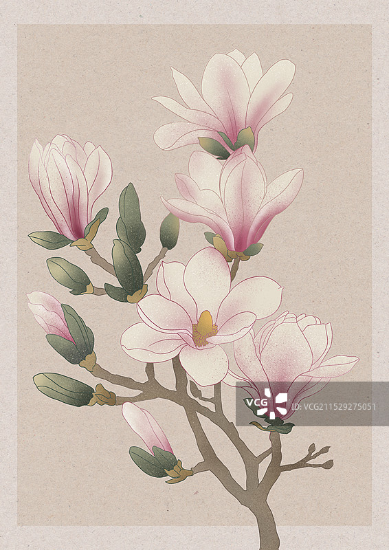 玉兰花国潮国风水彩插画图片素材