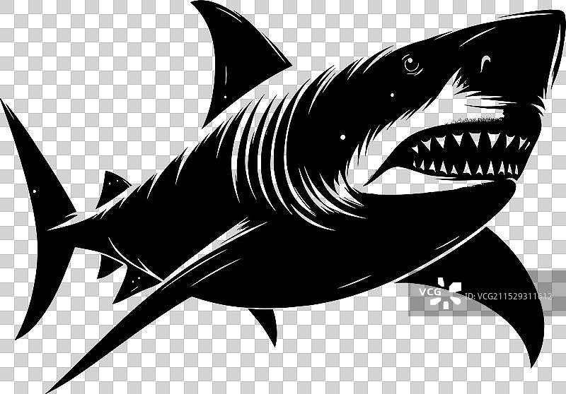 大鲨鱼轮廓在白色背景上孤立显示图片素材