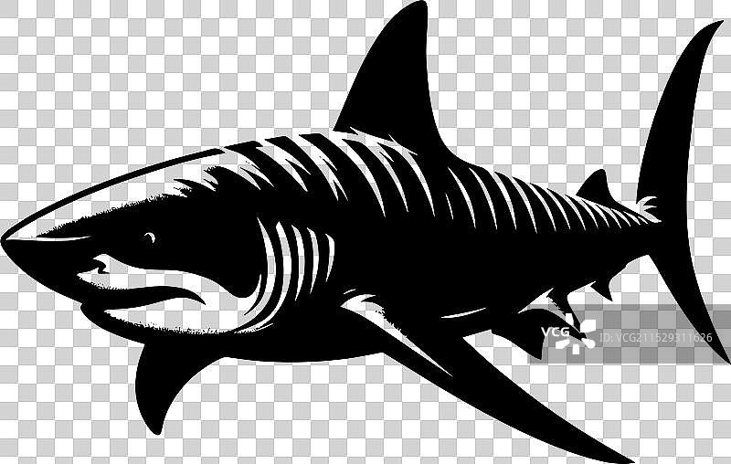大鲨鱼轮廓在白色背景上孤立显示图片素材