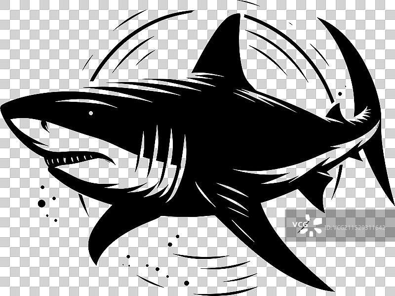 大鲨鱼轮廓在白色背景上孤立显示图片素材