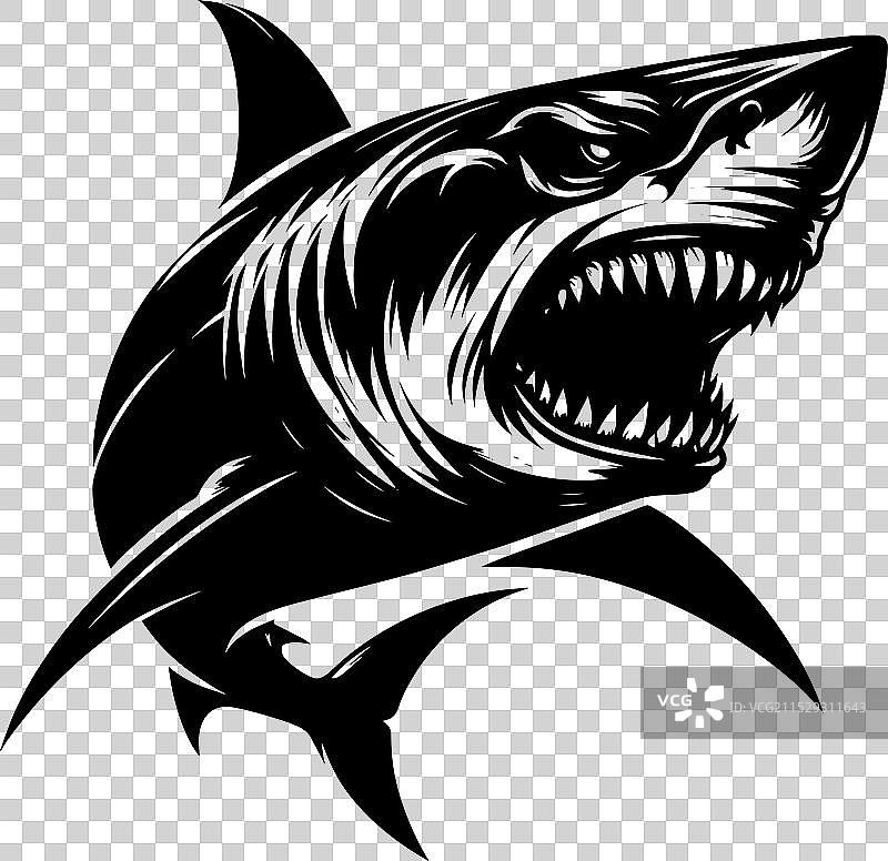 大鲨鱼轮廓在白色背景上孤立显示图片素材