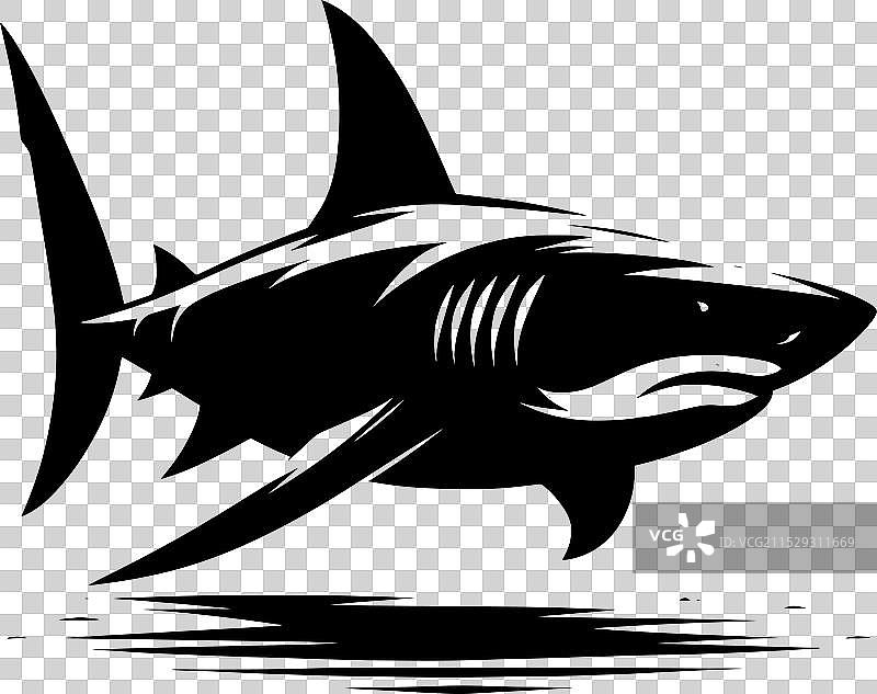 大鲨鱼轮廓在白色背景上孤立显示图片素材