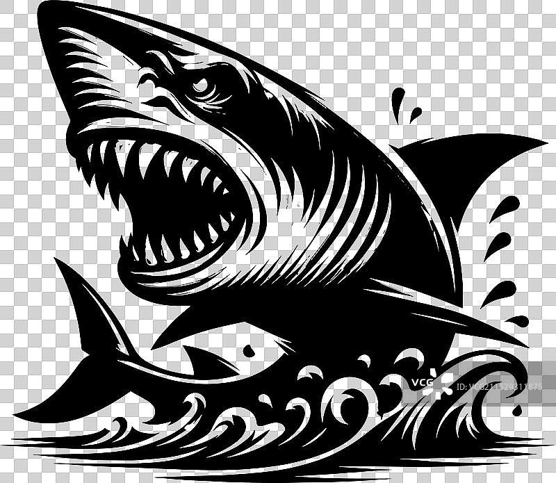 大鲨鱼轮廓在白色背景上孤立显示图片素材