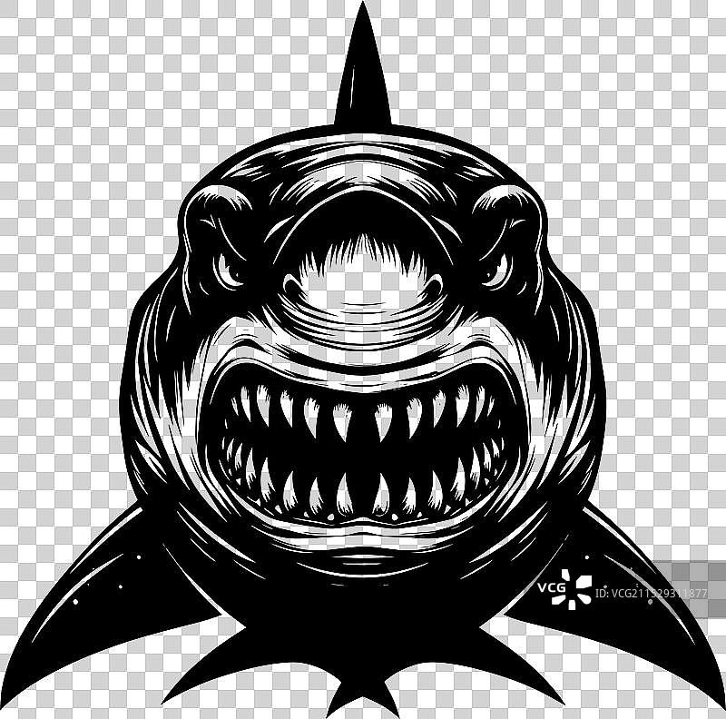 大鲨鱼轮廓在白色背景上孤立显示图片素材