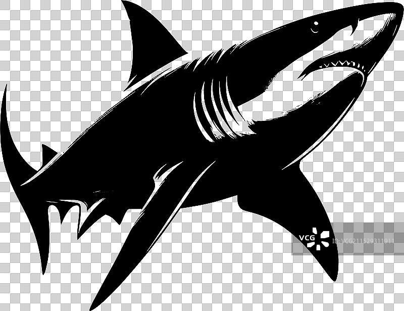 大鲨鱼轮廓在白色背景上孤立显示图片素材