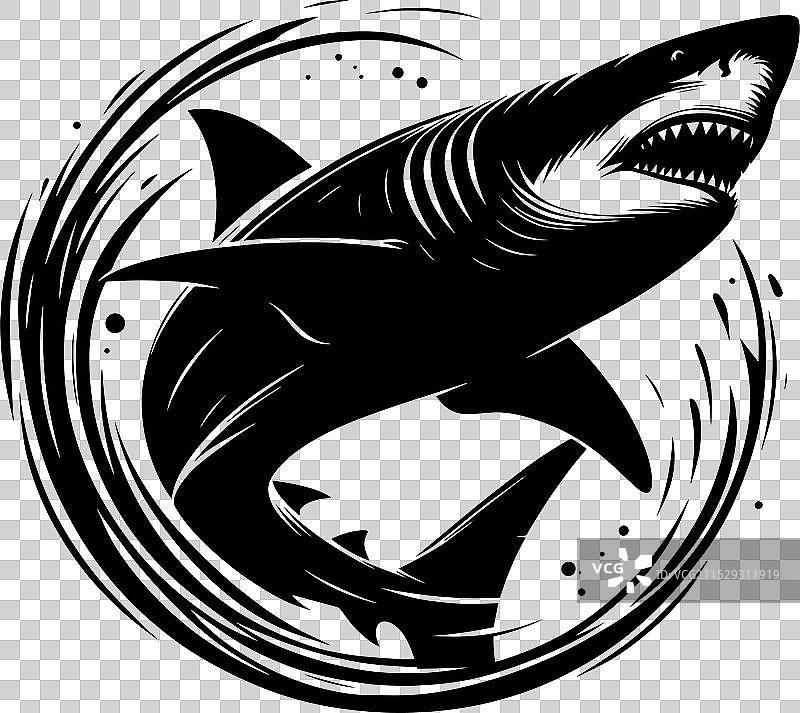 大鲨鱼轮廓在白色背景上孤立显示图片素材