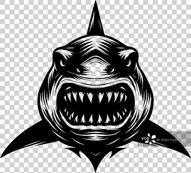 大鲨鱼轮廓在白色背景上孤立显示图片素材