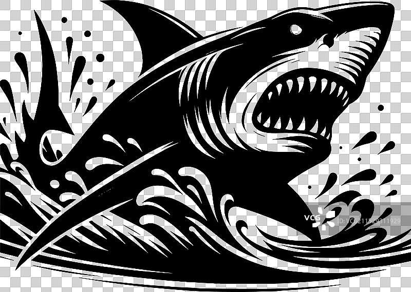 大鲨鱼轮廓在白色背景上孤立显示图片素材