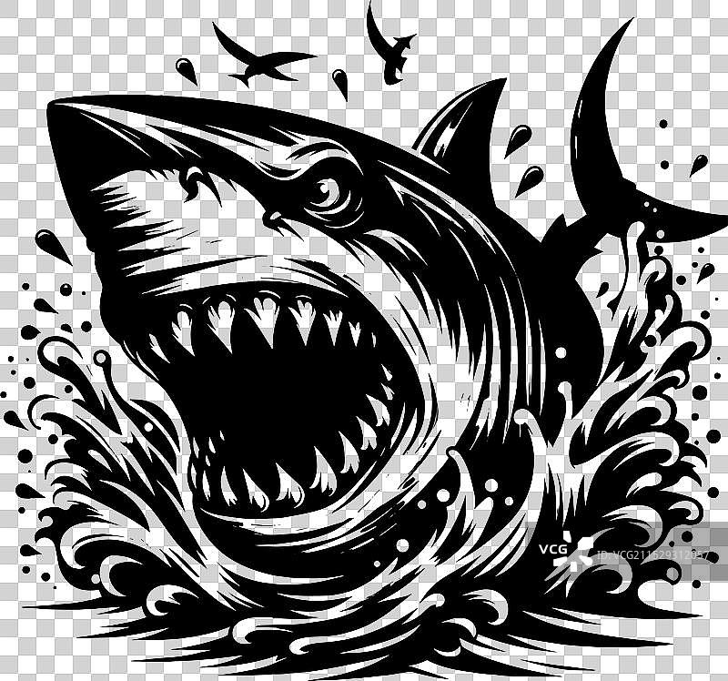 大鲨鱼轮廓在白色背景上孤立显示图片素材