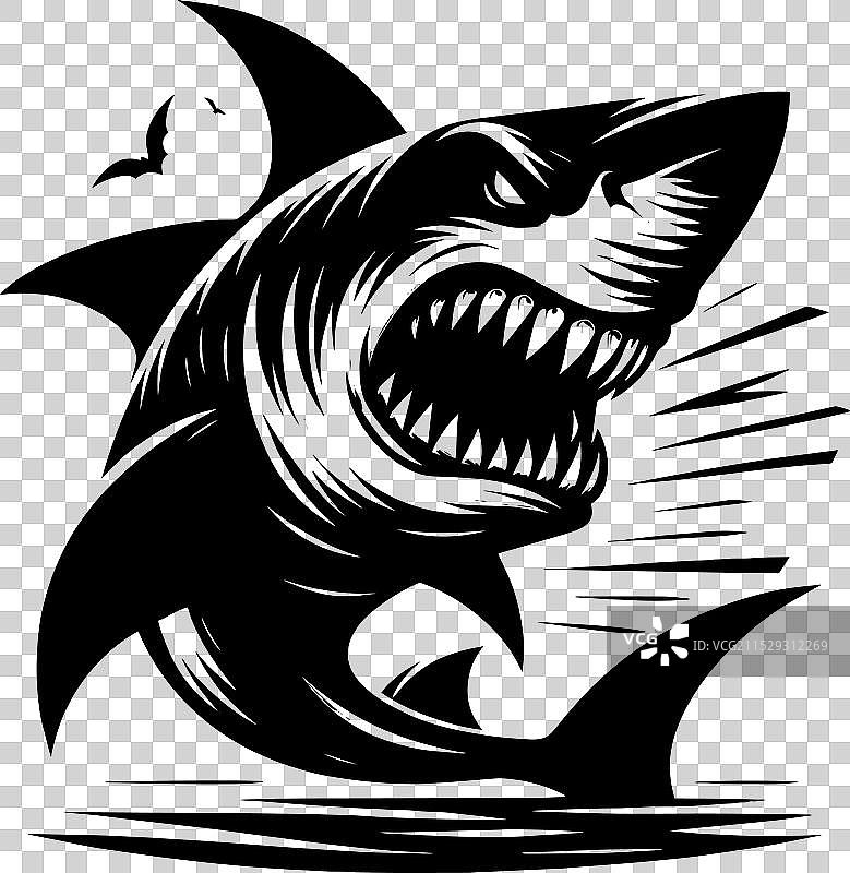 大鲨鱼轮廓在白色背景上孤立显示图片素材