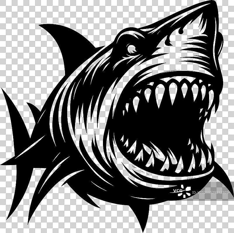 大鲨鱼轮廓在白色背景上孤立显示图片素材