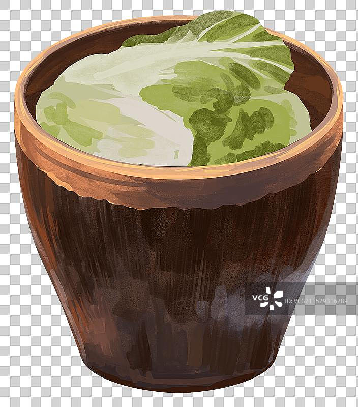 四川泡菜咸菜腌菜腌制品传统食物食材饮食健康东北冬天冬季白菜储存开胃菜酱菜食品资讯卡通插画图片素材