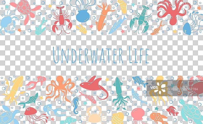 热带海洋生物套装图片素材