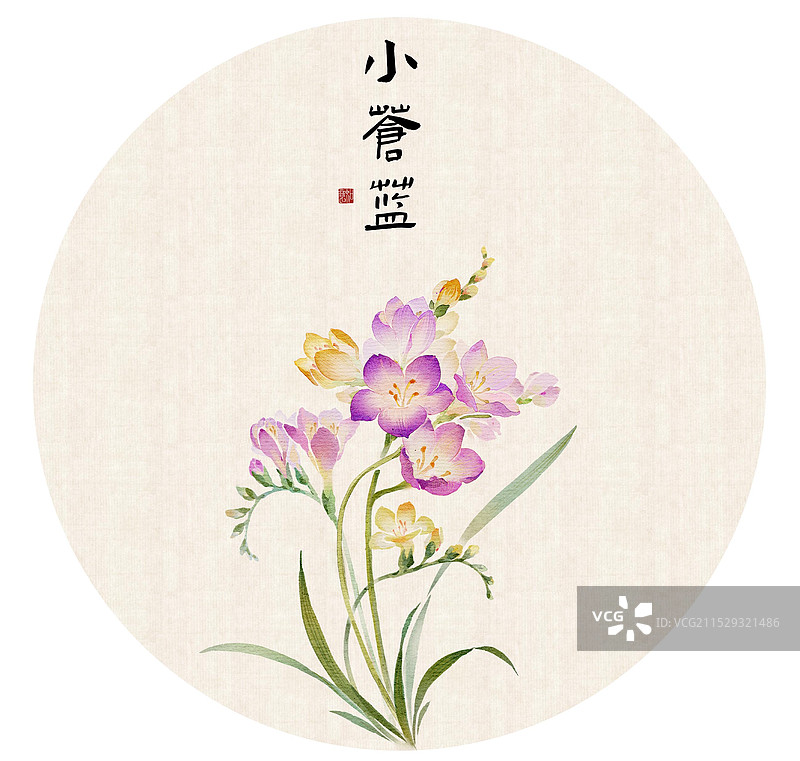 小苍兰早春开花花卉-国风古风水墨水彩肌理海报设计模板图片素材