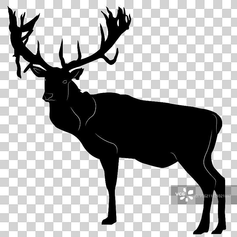 成年鹿的黑色轮廓，带有大角图片素材
