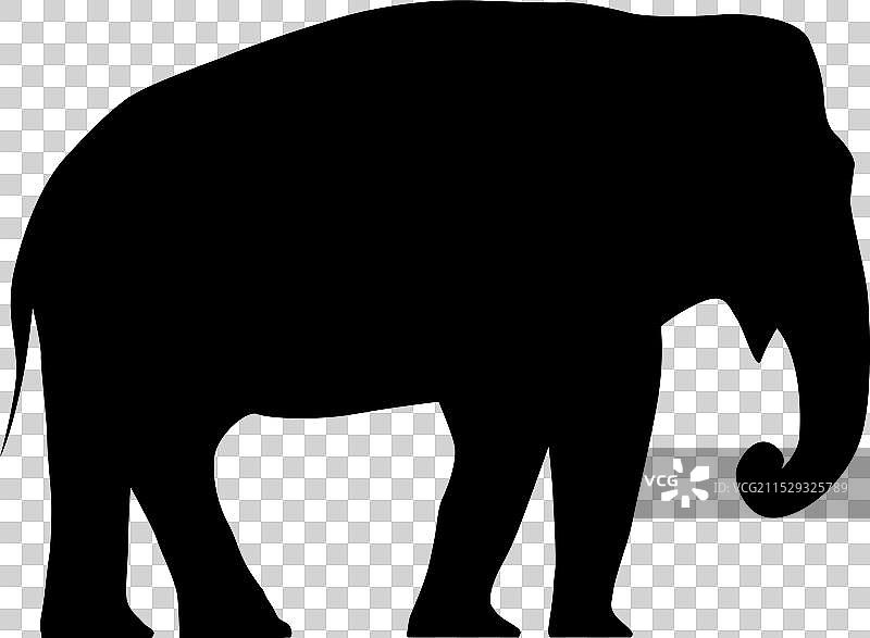 大象剪影图片素材