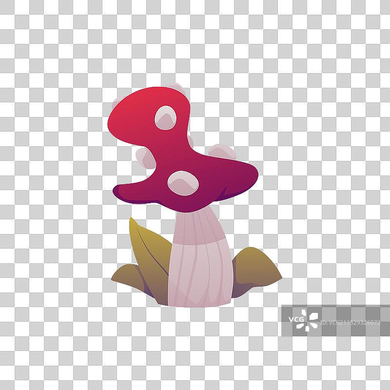 苍蝇伞毒蘑菇图片素材