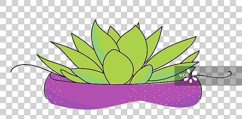 手绘线条连续的绿色多肉植物房屋图片素材