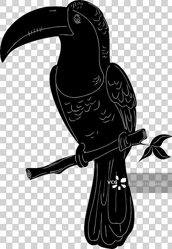 黑色轮廓设计的自然图案巨嘴鸟图片素材