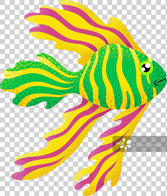 热带鱼纹理图标，海洋色彩动物图片素材