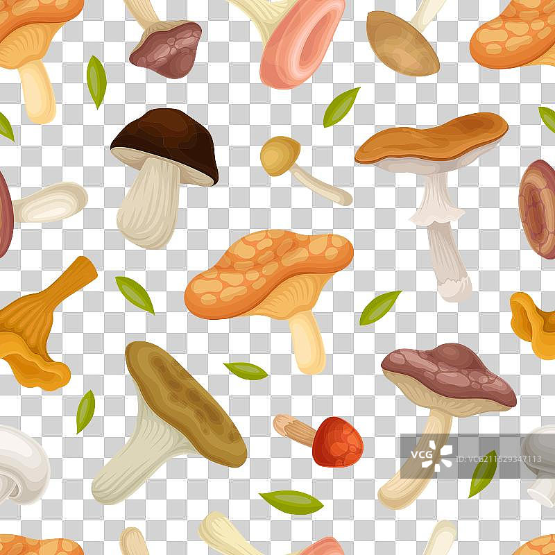 蘑菇无缝图案与森林植物图片素材