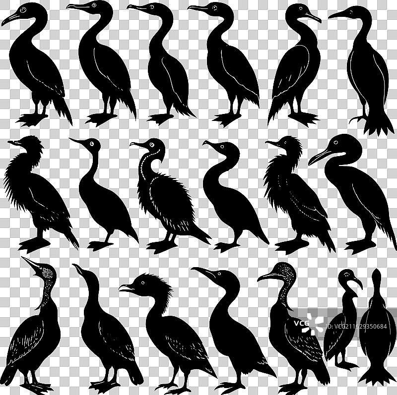 黑色鸬鹚剪影图片素材