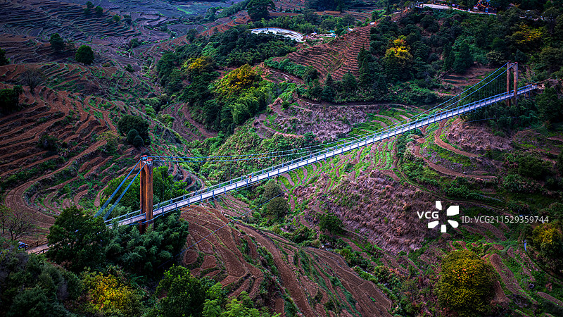 航拍下森林里的高空吊桥图片素材