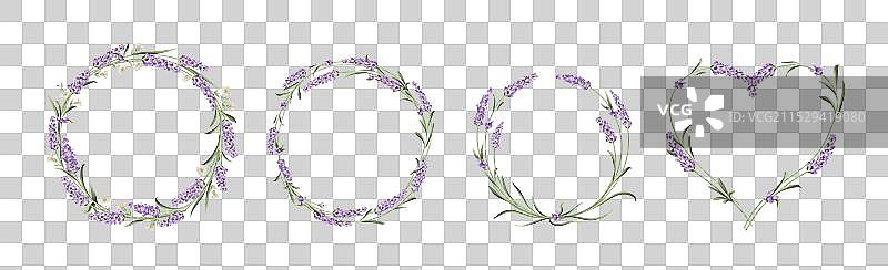 一组薰衣草花元素合集图片素材