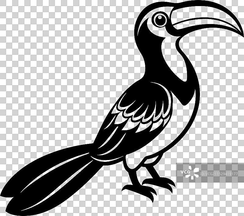 大犀鸟剪影黑色图片素材