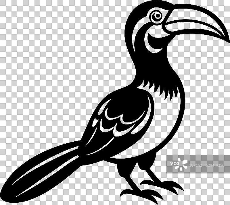 大犀鸟剪影黑色图片素材