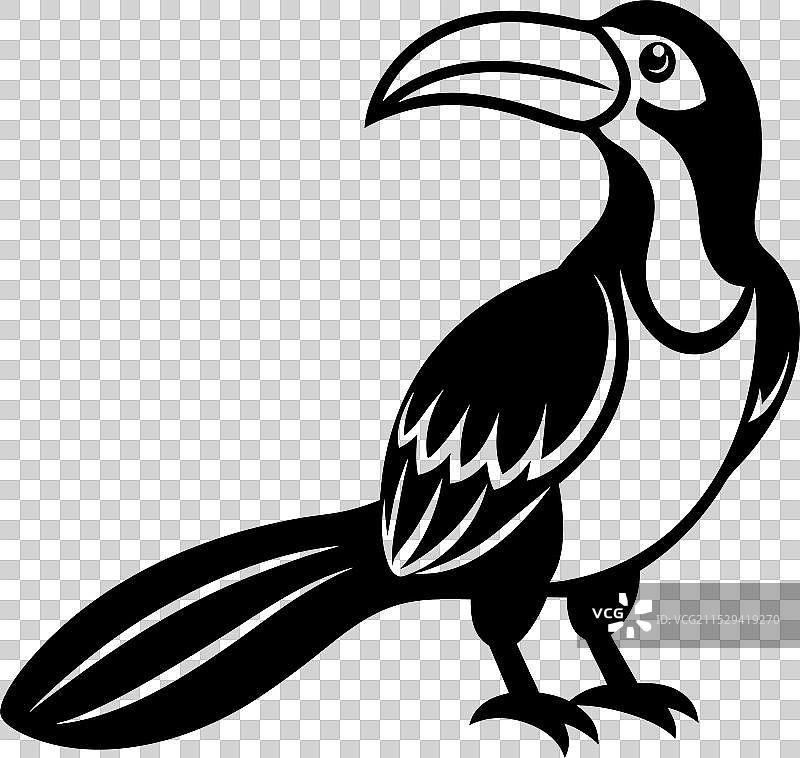 大犀鸟剪影黑色图片素材