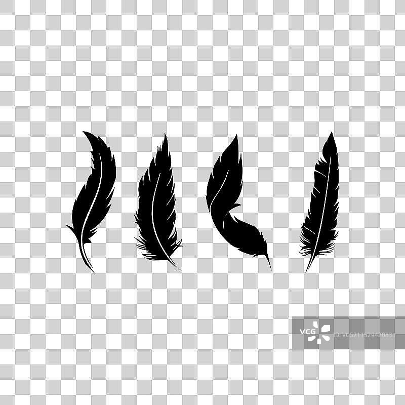 黑白羽毛图标图片素材